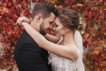 Gorgeous bride and stylish groom gently hugging and smiling at wall of autumn red leaves. Happy...