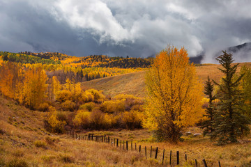 Fototapeta premium Autumn in Colorado