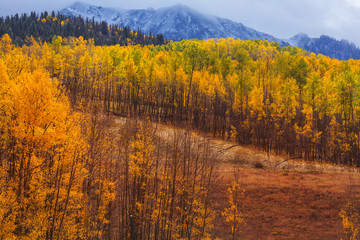 Autumn in Colorado