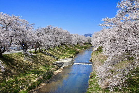 藤田川 の写真 ロイヤリティフリーの画像 グラフィック ベクターおよびビデオ Adobe Stock
