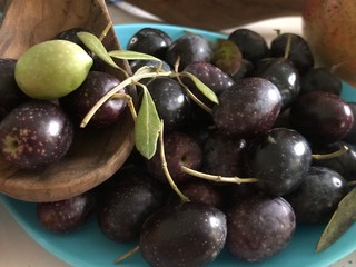 olives noires et vertes