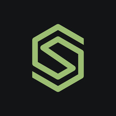 Letter S logo