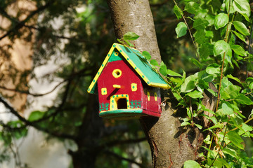 Colorful birdhouse on the tree in the garden