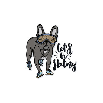 Vector illustration with french Bulldog in skates and ski glasses. 