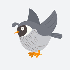 Cute Quail in cartoon style
