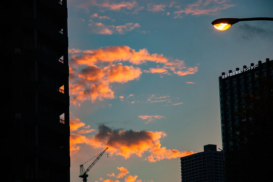 ビルと夕焼雲