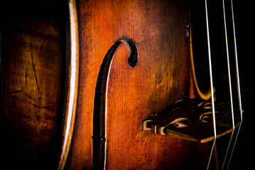 Violine, FineArt 4