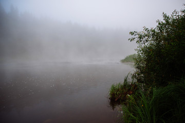 Natural background: misty landscape at dawn by the river in the forest on a summer morning.