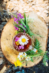 Herbal tea, against a fire and wildlife of forest edible flowers. The concept of ecological approach, the interaction of nature and man.