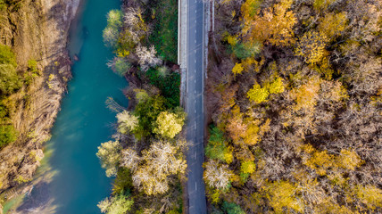 Beautiful landscape with a rural road along a mountain river, autumn trees with green, yellow, red...