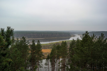 Autumn forest river view. Autumn forest river panorama.