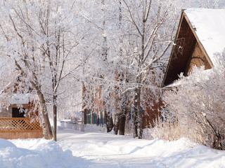 Trees in the frost. Winter snow. Russian village in winter. Russia, Ural, Perm region
