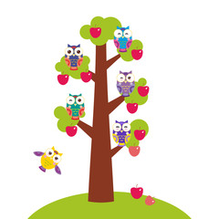 set bright colorful owls on the branch of apple-tree with red apples on white background. Vector