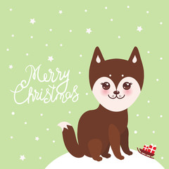 Merry Christmas New Year's card design funny brown husky dog, Kawaii face with large eyes and pink cheeks, light green background. Vector