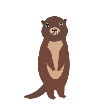 Funny brown otter on white background. Kawaii. Vector