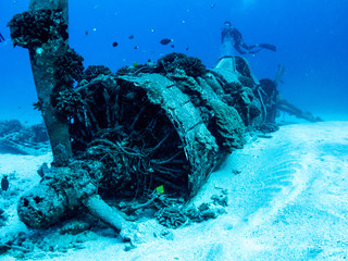 Underwater Airplane Wreck WW2 - Scuba Diving Oahu, Hawaii