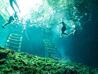 Tourists Snorkeling and Swimming in Gran Cenote - Tulum, Mexico. Underwater Tourism Photo - obrazy, fototapety, plakaty