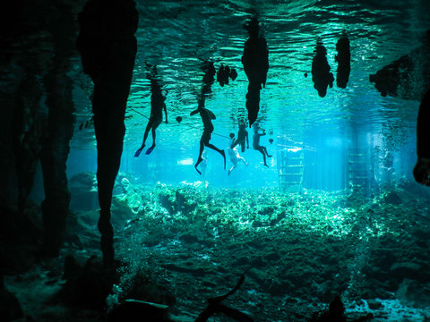 Tourists Snorkeling and Swimming in Gran Cenote - Tulum, Mexico. Underwater Tourism Photo