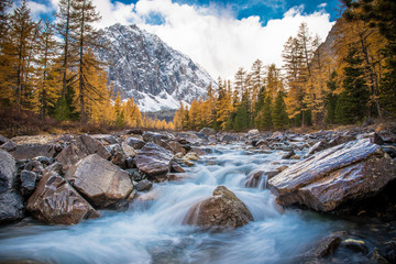 The beautiful valley with a fast mountain stream. Aktru. Altai.