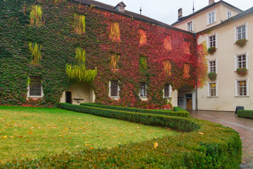 Fototapete bei efototapeten.de bestellen   