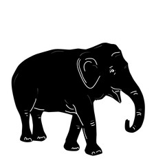 Obraz premium Black elephant, doodle by hand isolated on white bacground. Vector
