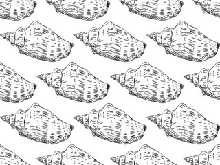 seamless pattern Volutidae, common name volutes, are a taxonomic family of predatory sea snails Unique shells, molluscs. Sketch black contour on white background. Vector