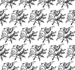 seamless pattern Lambis spider conch Chicoreus aculeatus, large sea snail Unique shells, molluscs Gastropoda. Sketch black contour on white background. Vector