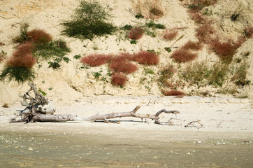 Landscape, deserted beach