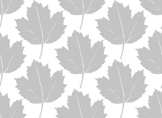 Seamless pattern grey leaves maple, viburnum, guelder rose silhouettes isolated on white background. Can be used for fabrics, wallpapers. Vector