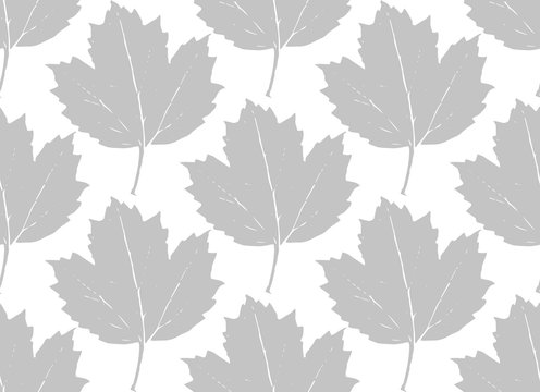 Seamless pattern grey leaves maple, viburnum, guelder rose silhouettes isolated on white background. Can be used for fabrics, wallpapers. Vector