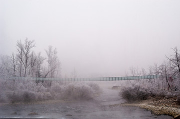 ponte ricoperto di ghiaccio su un fiume con ai lati alberi immersi nella nebbia