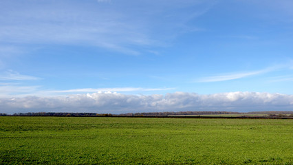 Fields and a strip of forest away on a fall day in Russia