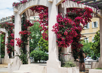Fototapeta na wymiar Arch with flowers