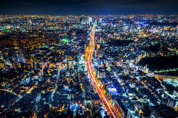 Fototapeta premium tokyo tower and city skyline under blue night