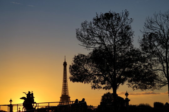 Arbre et tour Eiffel au coucher du soleil