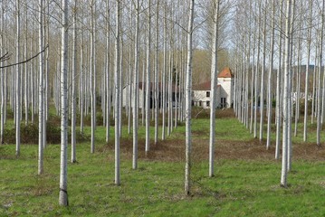 Paysages du Lot et Garonne