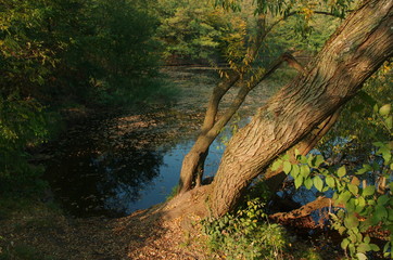 Beautiful autumn panorama at lake, magical autumn background 