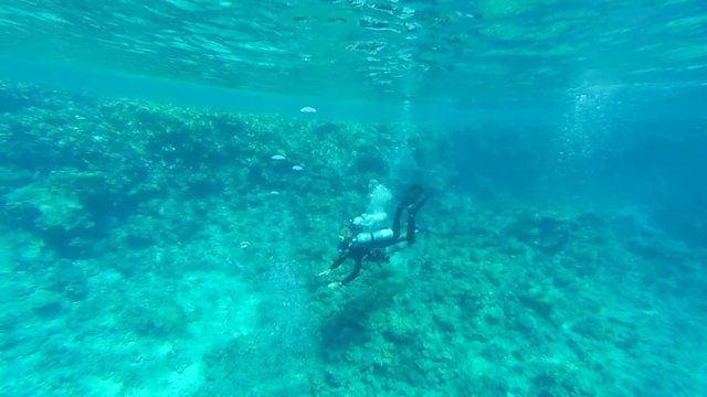 People engaged in diving around the coral reef