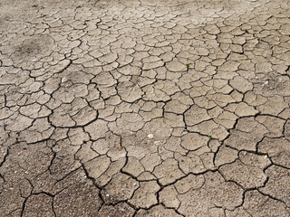 cracks in the ground