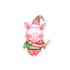 Fototapeta na wymiar 2019 Happy New Year and Christmas illustration with watercolor funny pig