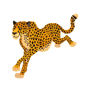 Vector funny cartoon running cheetah big wild cat animal, children alphabet illustration letter C, three cuarters view