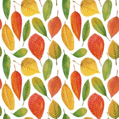 Hand-drawn autumn foliage. Watercolor and pencils. Seamless pattern autumn leaves lovely print for wrapping paper, postcard, fabric, background.