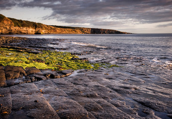 Early morning light illuminates Cullernose Point, Northumberland - 232265904