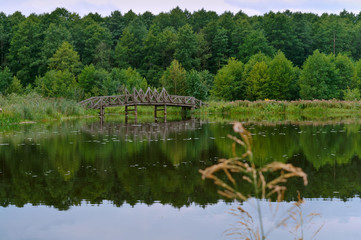 Fototapeta na wymiar Wooden bridge. The river flows among the thickets.