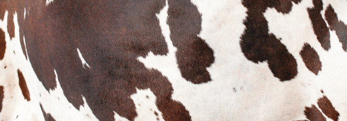 Bull skin pattern and texture