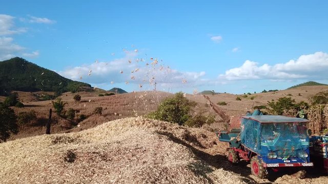 4K footage on transport of Traditional Combine Operator Harvesting Corn on the Field in clear sky Evening at North of Thailand
