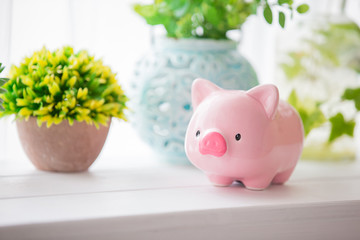 cute pink piggy bank
