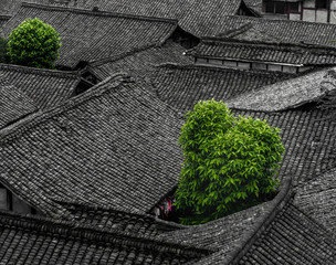 Bricks and tiles on the roof of the ancient city of Sichuan, Langzhong