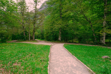 Road in the middle of a landscape of meadows with mountains in the background and on the sides. Landscape and nature.