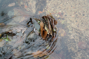 The threshold is on a stony the plain.